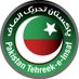 PTI Karachi (@PTIKarachi_) Twitter profile photo