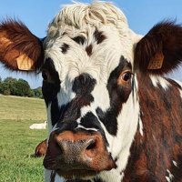 Patrice.Ronche (@pat_ronche) 's Twitter Profile Photo