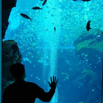 PandaHuskyOtter's profile picture. ProducePandas love 💙 Welcome in chat 😘
@Propandas_Husky