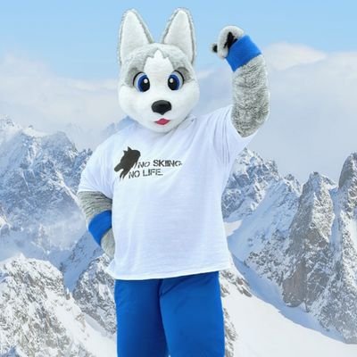 HeilSmith_OU's profile picture. 俺はカナダウィスラー生まれ北海道小樽育ちのシベリアンハスキー犬「ハイル」。アスリート一家で育った元アルペンスキー選手。ある日、小樽のスキー場で見掛けたコギ坊にダウンヒルレースを挑んだが惜しくも惨敗。(くそぉー！いつかはリベンジしてやる！)無類の酒好きで雪山で滑った後のビールが大好物♪♡なまらうめ～！みんな、よろしくな。