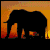 medico, web designer, writer, painter
