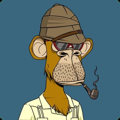 Leo49783356's profile picture. are you a believer in nft and metaverse?