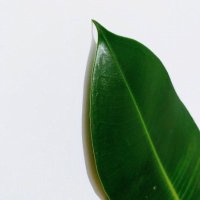 Cecelia Lillian (@cecelialil757) 's Twitter Profile