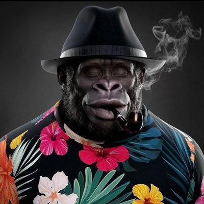 bab_olumide's profile picture. 