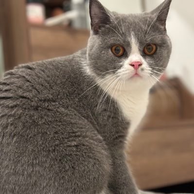 Jasmine05133037's profile picture. 