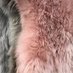 CheezeSergal (@cheezesergal) Twitter profile photo CheezeSergal (@cheezesergal) Twitter profile photo