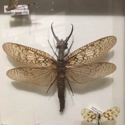 YOICHIRO1693700's profile picture. ããŒã«ãã€ãœã³ã«ãã£ãšãããã¢ã«ãŠã³ãð