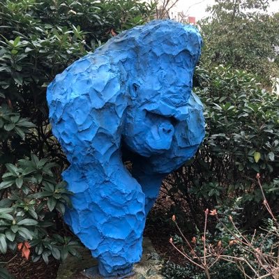 ChloCarson's profile picture. 