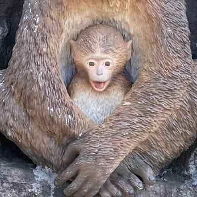 yubi_taro's profile picture. 育児にステージを移した🐈🐈‍⬛と住むオタクです。情報収集とかができればと。 後は思ってることをポチポチ。思考、感情整理に使っています。シングルで1人育ててます。バズ感じ取ったら即ミュートしてます。