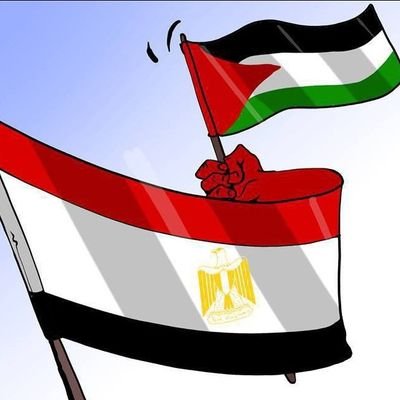 من يخاف لا يستحق الحياة ( فلسطين 🇵🇸 قضيتى )
انا مصرى ابن مصر لا احب الاخوان و محارب ضد الخائن السيسى و اعوانه
