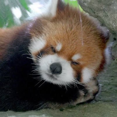 xcqndy_x's profile picture. ログアウト中