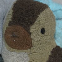 かも (@nnw5gomhuzz233q) 's Twitter Profile