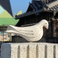 ぺいじゅん (@pay_jun_) 's Twitter Profile