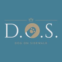 DOS(@DogOnSidewalk) 's Twitter Profile Photo