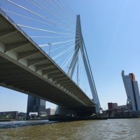 @Erasmusbrug010 (@erasmusbrug010) 's Twitter Profile