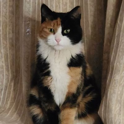 spacebase007's profile picture. 