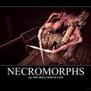 devin gomez - @GomezDevin - Twitter