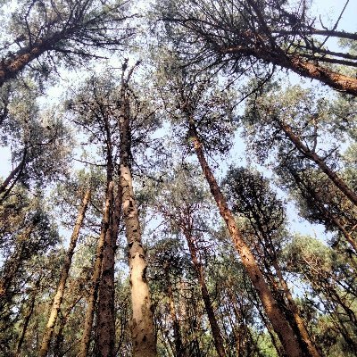 selvak46434's profile picture. 