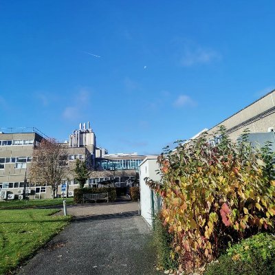 lester_g653's profile picture. Physics Graduate with an interest in BCIs