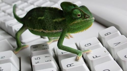 DiegoJavier90's profile picture. Usuario de OpenSuse, amante de linux, aprendiz de programación y emacs, fanatico de la tecnologia, amante de mi familia y de mi país, no de mi gobierno