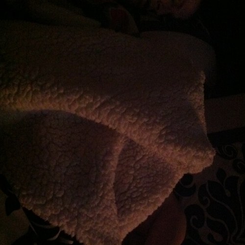 daniellezaya's profile picture. wife & mother