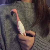Crazy Bitch ❤️ Memecoin (@nononopapi) 's Twitter Profile