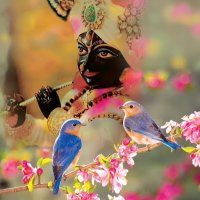 Suryprtap Singh RAJPUT (@surypratap_) 's Twitter Profile