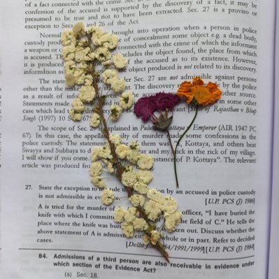 SyedSehreen01's profile picture. Young And Able