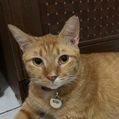 mariogomer's profile picture. Every day need some air