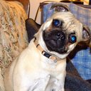 Max Marion - @Fat_snacks_max - Twitter