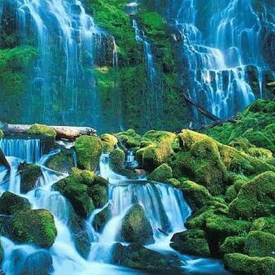 HamitAral465617's profile picture. 