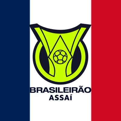 Actualité en français du championnat brésilien, le Brasileirão ainsi que les clubs brésiliens en compétition internationale