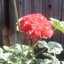 dona lopez - @donalopez805 - Twitter