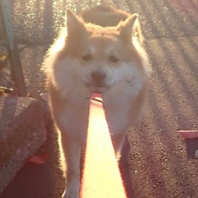 YuSa7960's profile picture. #パズドラ | @lookk0426