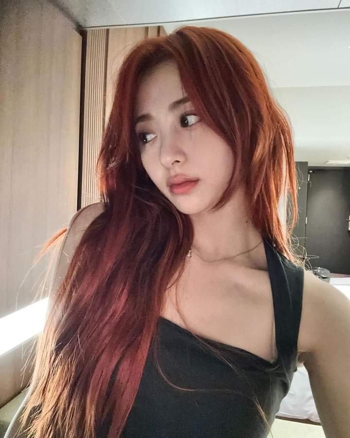 chashaschi's profile picture. 