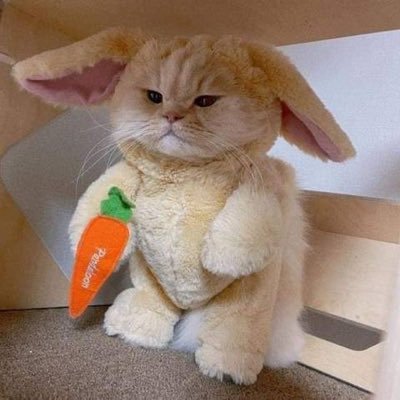 1_minyung's profile picture. 