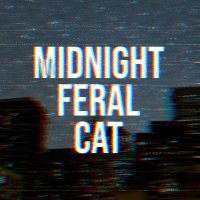 Mɨ∂иɨɢɦт Fєʀɑℓ_Ƈɑт 𓏲𓎨(@midnight_feral) 's Twitter Profile Photo