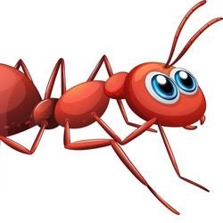 चींटी (Ant)