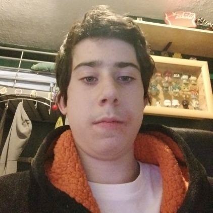 Im 16, I would like a girlfriend please I like to draw, like gaming( is roblox allowed) like animals, like to work out I would like to go ona few dates,netflix