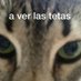cristian (@cristian83936) Twitter profile photo cristian (@cristian83936) Twitter profile photo