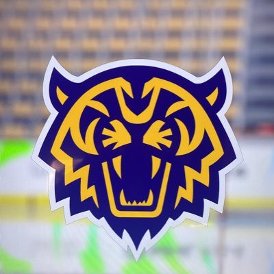 Division 1 EASHL Club | Official Twitter of the Minnesota Kitty Patrol | 🥅 🇺🇸