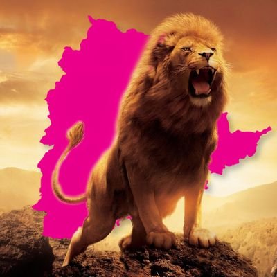 Telangana_Sher Profile Picture