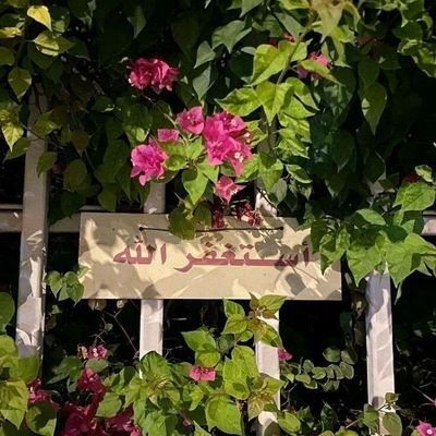 وَتَوَكَّلْ عَلَى اللَّهِ ۚ وَكَفَىٰ بِاللَّهِ وَكِيلًا.🧡🌿