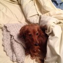 Rena McMahon - @rena_mcmahon - Twitter