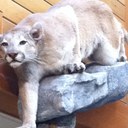 jim conte - @ConteJim - Twitter