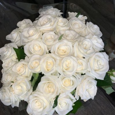 maria_bdff's profile picture. 