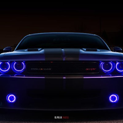 velicudarius1's profile picture. 