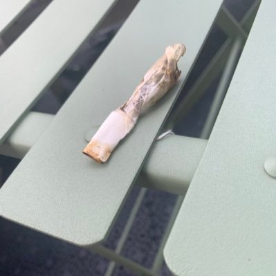 jessjessand's profile picture. I do not want to decide what is right for you