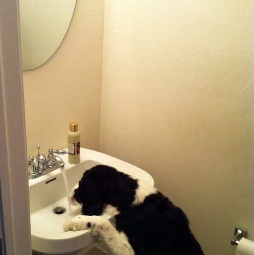 bigg2005's profile picture. member of covenant of the phoenx, father, gamer