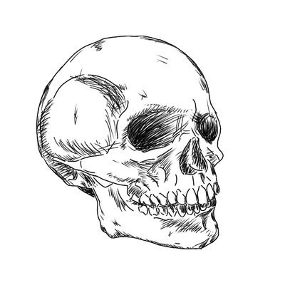 I drew the skull myself 🙃
And I am proud of it